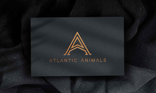Atlantic Animals